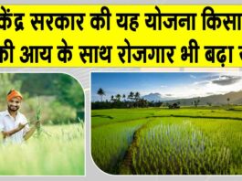 Cold Chain Yojana: कोल्ड चेन योजना, जो बढ़ा रही किसानों की आय व रोजगार Cold Chain Yojana