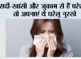 Cold Home Remedies: सर्दी-खांसी और जुकाम से हैं परेशान तो अपनाएं ये घरेलू नुस्खे Cold Home Remedies