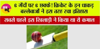 Cricket