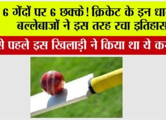 Cricket