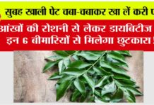 Curry Leaves