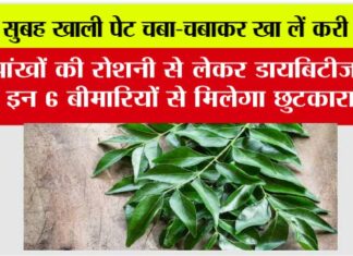 Curry Leaves: सुबह खाली पेट चबा-चबाकर खा लें करी पत्ता, आंखों की रोशनी से लेकर डायबिटीज तक इन 6 बीमारियों से मिलेगा छुटकारा!… Curry Leaves