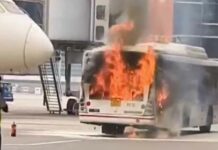 Delhi Airport Bus Fire: दिल्ली हवाई अड्डे पर एयर इंडिया की बस में लगी आग, मची अफरा तफरी Delhi Airport News