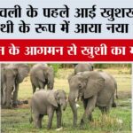 Elephant News