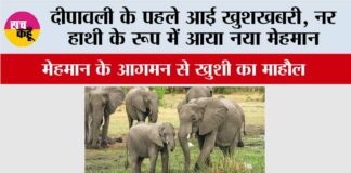 Elephant News