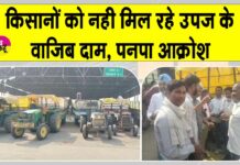 Farmers News: उपज के नहीं मिल रहे पूरे दाम, किसानों में आक्रोश Hanumangarh News