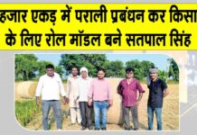 Fatehabad News