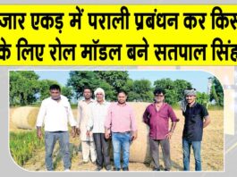 10 हजार एकड़ में पराली प्रबंधन कर किसानों के लिए रोल मॉडल बने सतपाल सिंह Fatehabad News