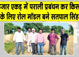 10 हजार एकड़ में पराली प्रबंधन कर किसानों के लिए रोल मॉडल बने सतपाल सिंह Fatehabad News