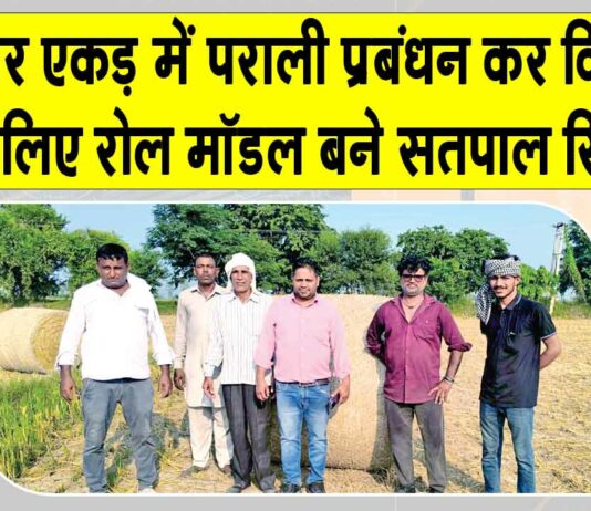 Fatehabad News