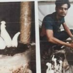 Dudhiya Mushroom: दो भाईयों द्वारा मिलकर मिल्की मशरूम प्रजाति को उगाने का किया जा रहा है कार्य Firozabad News