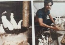 Dudhiya Mushroom: दो भाईयों द्वारा मिलकर मिल्की मशरूम प्रजाति को उगाने का किया जा रहा है कार्य Firozabad News