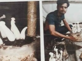 Dudhiya Mushroom: दो भाईयों द्वारा मिलकर मिल्की मशरूम प्रजाति को उगाने का किया जा रहा है कार्य Firozabad News