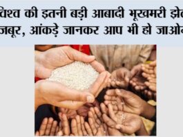 Food Crises Report 2025