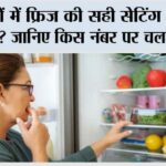 Fridge Temperature in Winter: सर्दियों में फ्रिज की सही सेटिंग क्या होनी चाहिए? जानिए किस नंबर पर चलाना है सही Fridge Temperature in Winter