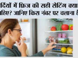 Fridge Temperature in Winter