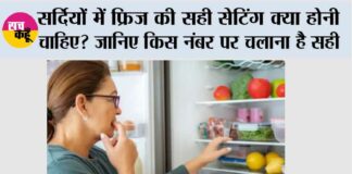 Fridge Temperature in Winter