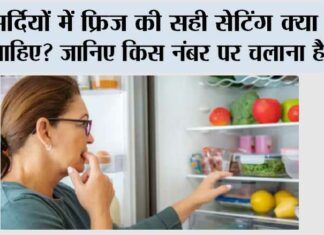 Fridge Temperature in Winter