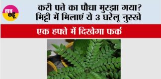 Gardening Tips