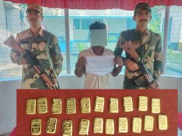BSF News