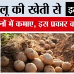 Grow Early Potatoes