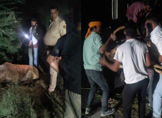 Hanumangarh: हनुमानगढ़ के पुलिस कर्मियों ने घायल गोवंश को पहुंचाया गोशाला Hanumangarh News