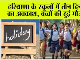 Haryana Holidays