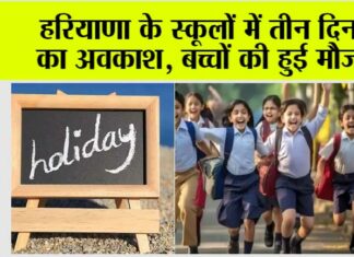 Haryana Holidays: हरियाणा के स्कूलों में तीन दिन का अवकाश Haryana Holidays