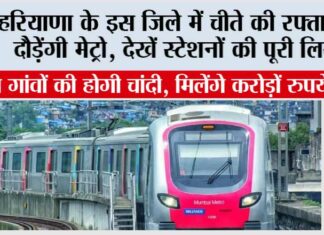 Haryana Metro News