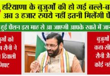 Haryana Pension News