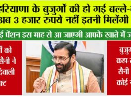 Haryana Pension News