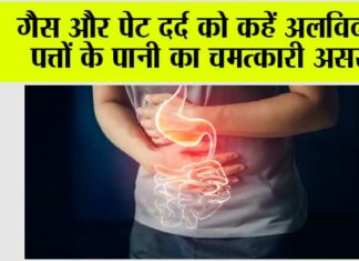 Healthy Tips For Stomach: गैस और पेट दर्द को कहें अलविदा, पत्तों के पानी का चमत्कारी असर Healthy Tips For Stomach