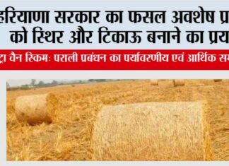 हरियाणा सरकार का फसल अवशेष प्रबंधन को स्थिर और टिकाऊ बनाने का प्रयास Hisar