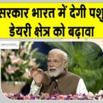 Dairy Sector News