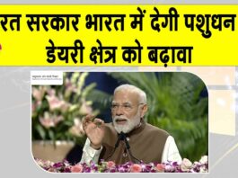 Dairy Sector News