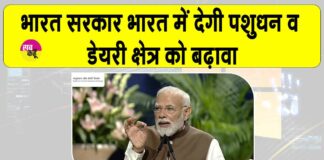 Dairy Sector News