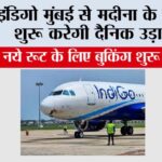 Indigo Flight News