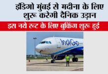 Indigo Flight News