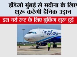 Indigo Flight News