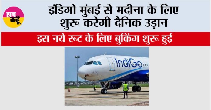 Indigo Flight News
