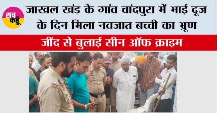 Jakhal Jakhal