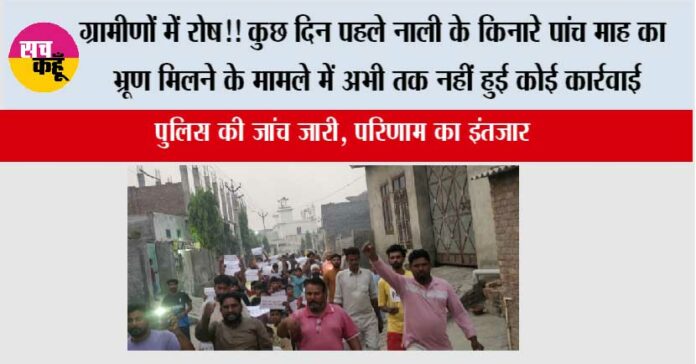 Jakhal Jakhal