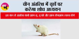 चीन अंतरिक्ष में चूहों पर करेगा शोध अध्ययन Jiquan: