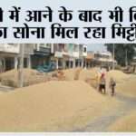 Kaithal