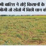 Kaithal