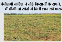 Kaithal