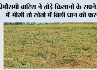 Kaithal