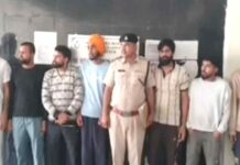 कैथल जिले के 14 युवक फिर हुए अमेरिका से डिपोर्ट, डंकी रूट से पहुंचे थे अमेरिका Kaithal News