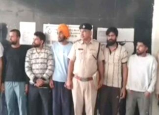 कैथल जिले के 14 युवक फिर हुए अमेरिका से डिपोर्ट, डंकी रूट से पहुंचे थे अमेरिका Kaithal News