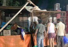 सब्जी की दुकान में पेट्रोल छिड़ककर युवक ने लगाई आग Loharu News
